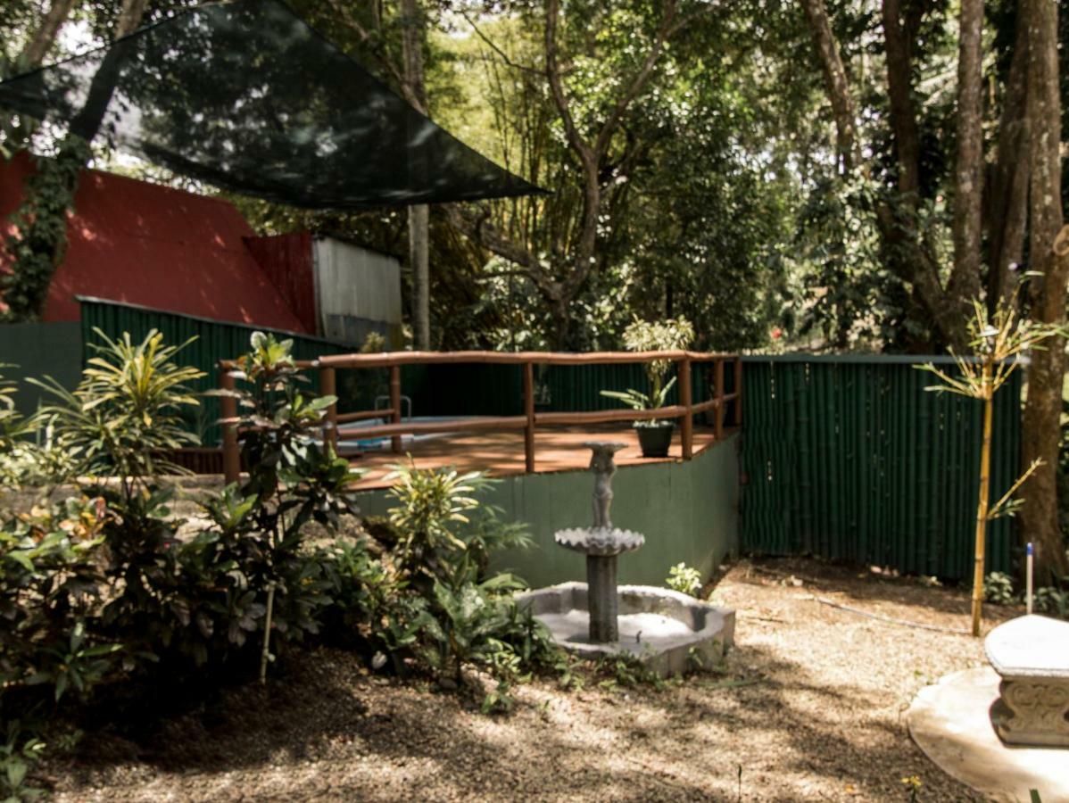 Casa Tucanes 曼努埃尔安东尼奥 外观 照片